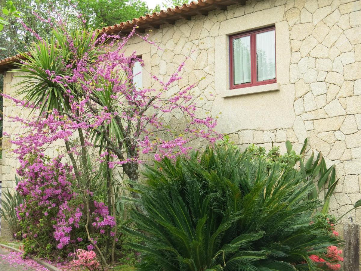 Casa Dos Tinocos Vila Braga Exterior foto