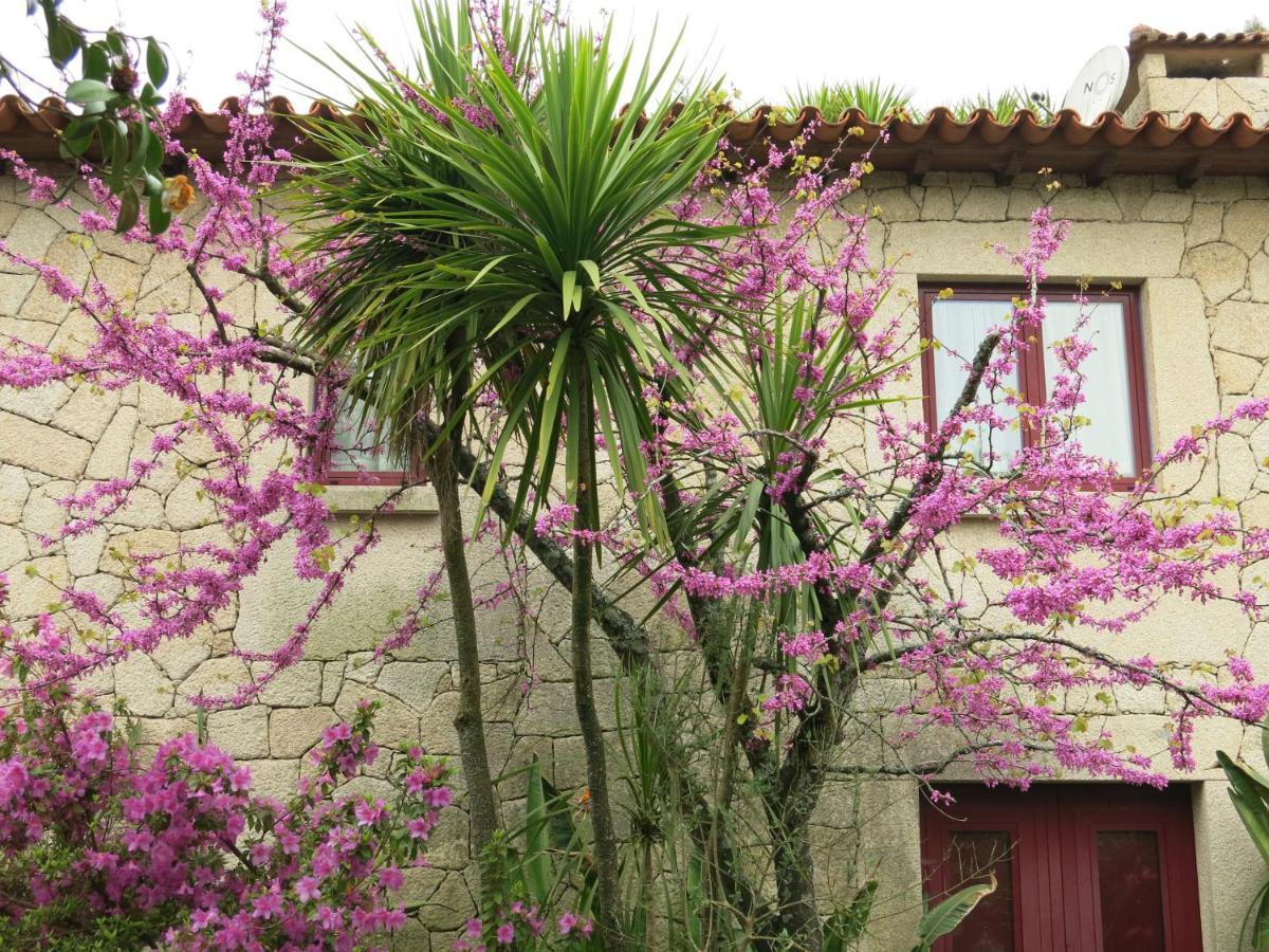 Casa Dos Tinocos Vila Braga Exterior foto